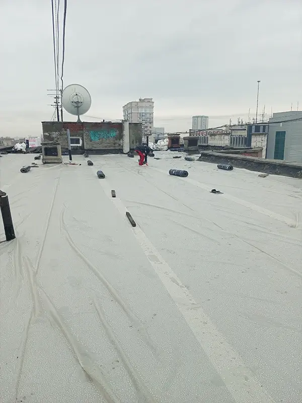 Романова, 36
